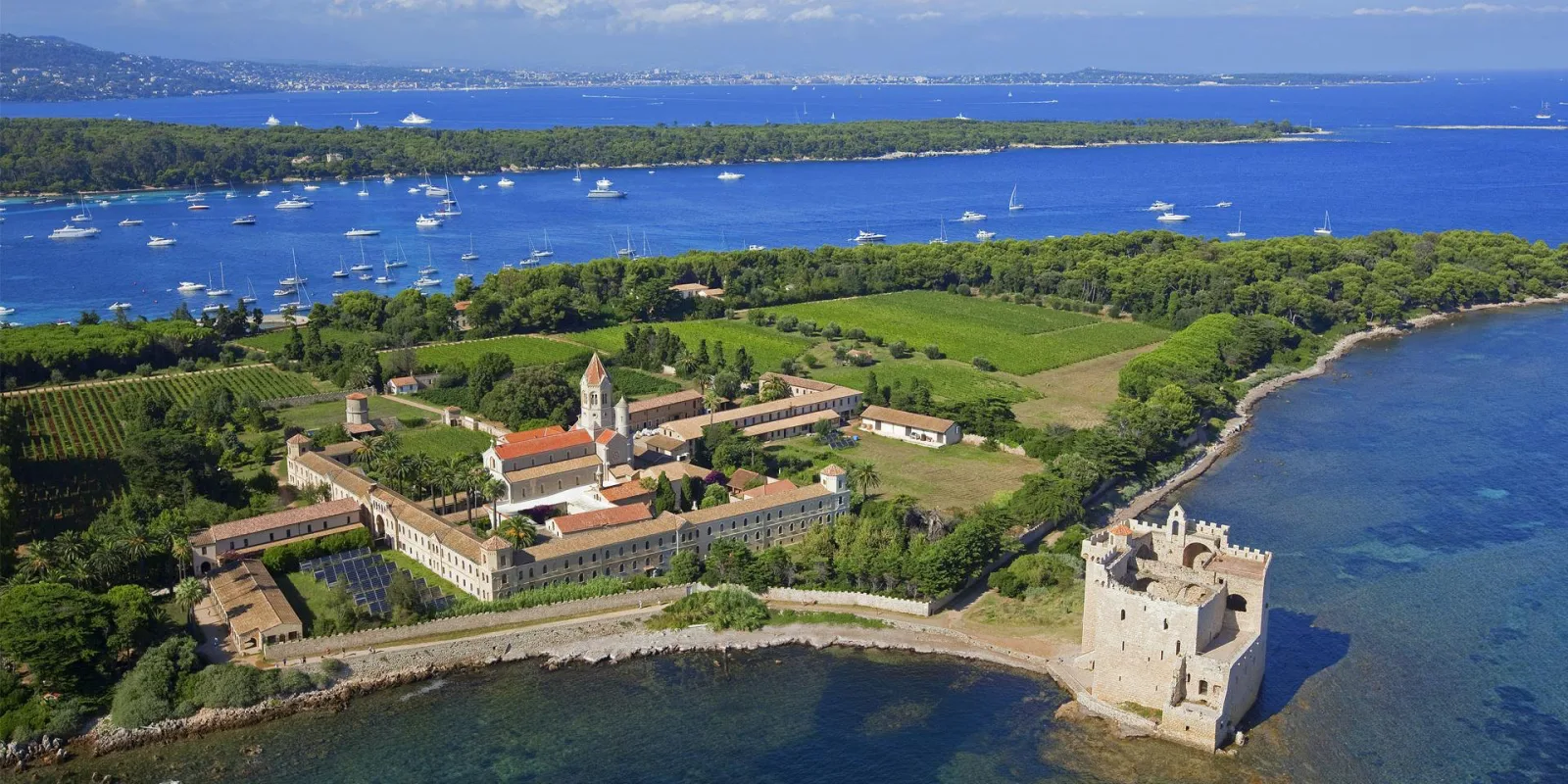 The Abbaye de Lérins and the vineyards of Saint-Honorat.